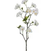 Apfelblütenzweig APFELBLÜTE