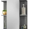 Bega BBK Armoires De Toilette|Armoires De Salle De Bains<Armoire à glace SILVER