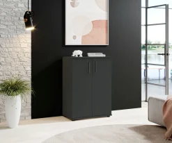 Bahut BC 1040