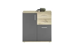 Bahut BC 1040