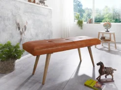 Banc CASMA