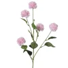 Bleuet FLOWER