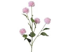 Bleuet FLOWER