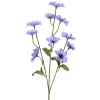 Bleuet FLOWER