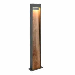 Trio Leuchten Lampes D'Allées<Borne lumineuse de jardin LED SALMON