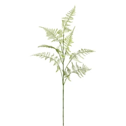 Branche d'asparagus FLOWERS