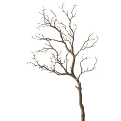Branche décorative ASTRA