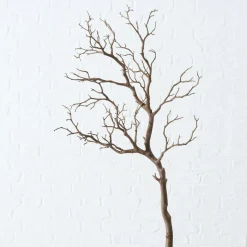 Branche décorative ASTRA