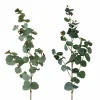 Branche d'eucalyptus FLOWERS