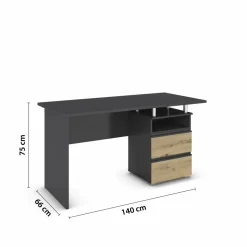 Bureau JOEL-EXTRA