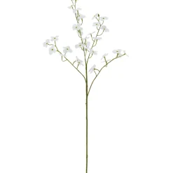 Cornuszweig REAL TOUCH