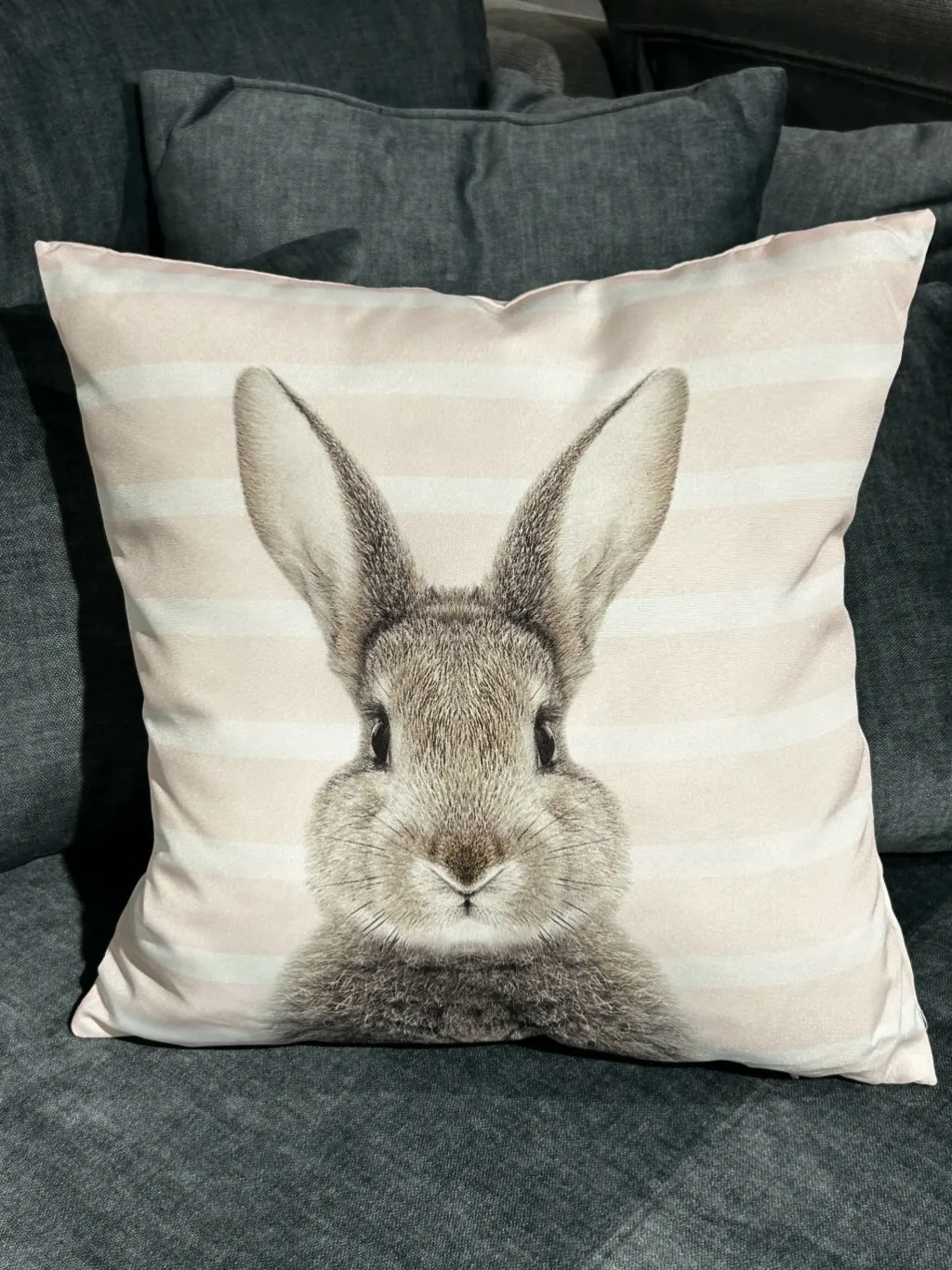 Cosima Rideaux|Coussins<Coussin tête de lapin ROGER