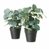 Boltze Fleurs Artificielles<Eucalyptus en pot FLOWERS