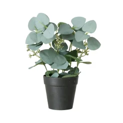 Boltze Fleurs Artificielles<Eucalyptus en pot FLOWERS