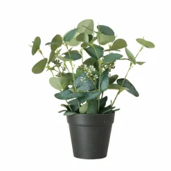Boltze Fleurs Artificielles<Eucalyptus en pot FLOWERS