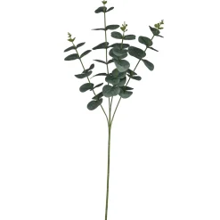 Gasper Fleurs Artificielles<Eukalyptuszweig EUKALYPTUS