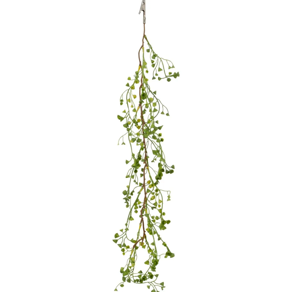Gasper Fleurs Artificielles<Euphorbiaclip EUPHORBIA