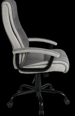 Duo Chaises De Bureau<Fauteuil de direction DARIUS