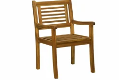 Möbilia Meubles De Jardin|Chaises En Bois<Fauteuil de jardin DEINZE
