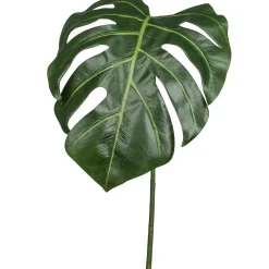 Feuille de philodendron FLOWERS