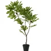 Kaemingk Fleurs Artificielles<Figuier en pot TREE