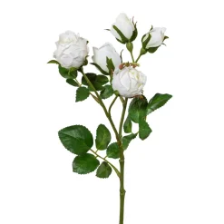 Gasper Fleurs Artificielles<Fleur décorative POLYANTROSE