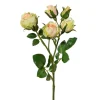 Fleur décorative POLYANTROSE