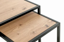 Haku Tables D'Appoint<Lot de 2 tables gigognes CARTAGO
