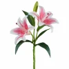 Lys FLOWERS