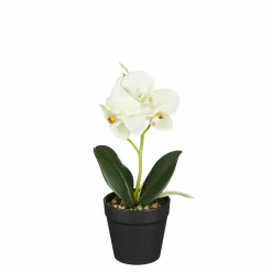 Edelman Fleurs Artificielles<Orchidée blanche et verte en pot 25cm ORCHIDEE