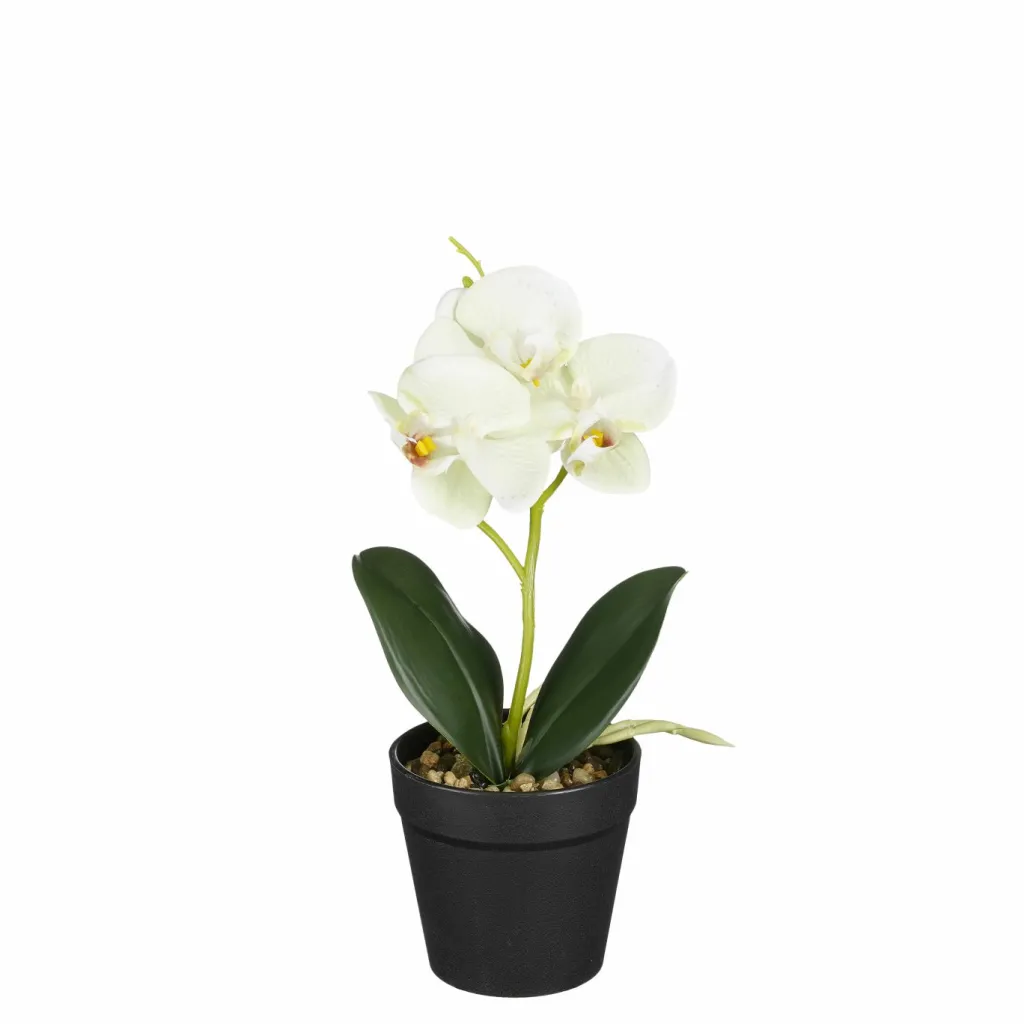 Edelman Fleurs Artificielles<Orchidée blanche et verte en pot 25cm ORCHIDEE