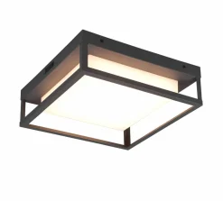 Trio Leuchten Plafonniers|Plafonniers D'Extérieur<Plafonnier LED WITHAM