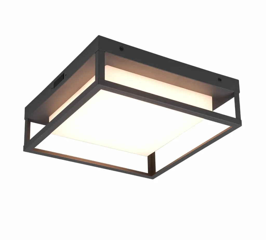 Trio Leuchten Plafonniers|Plafonniers D'Extérieur<Plafonnier LED WITHAM