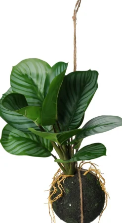 Koopman Fleurs Artificielles<Plante à suspendre 30cm BOTANIC