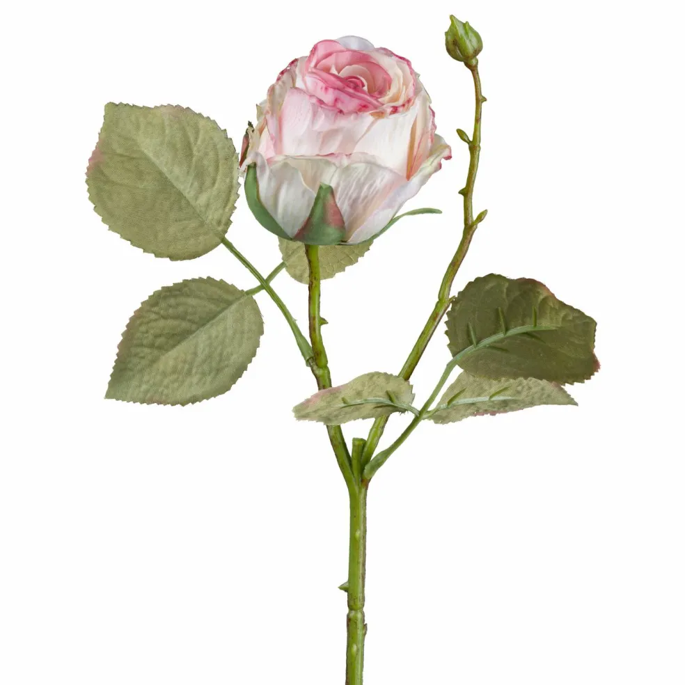 Rose décorative VINTAGE ROSE