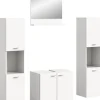 Salle de bains combinée 4 éléments SEBETA