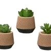 Kaemingk Fleurs Artificielles<Succulente en pot DEKO
