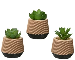 Kaemingk Fleurs Artificielles<Succulente en pot DEKO