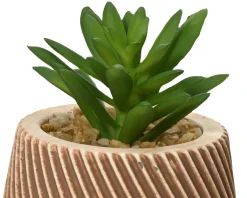Kaemingk Fleurs Artificielles<Succulente en pot DEKO