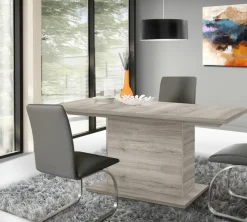 Table de repas DINING TABLE
