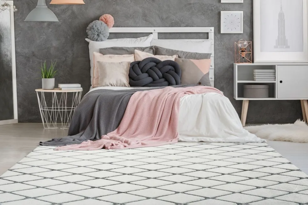 Tapis VIVICA 225