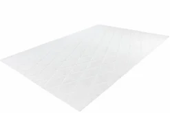Tapis VIVICA 225