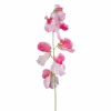 Vesce FLOWERS