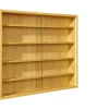 Vitrine pour collections ACQUARIO